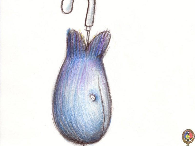 3 Baleine de parapluie