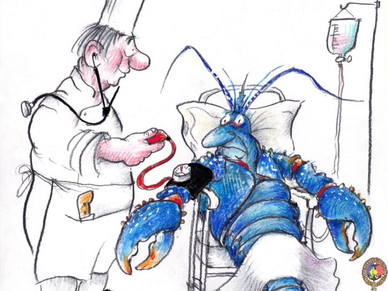 6 Homard sous pression