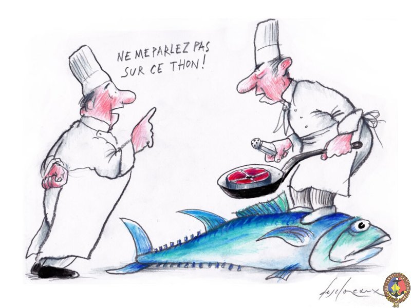 7 La cuisine au thon