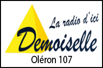 logo DemoiselleFm