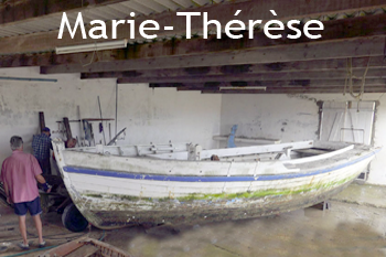 marie therese 350x233